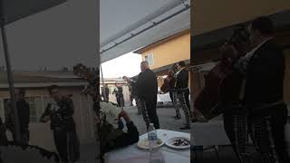 Me encanta el mariachi 💃😊