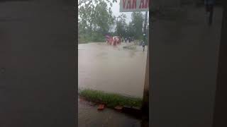 preview picture of video 'Đám cưới trong mùa lũ lụt'
