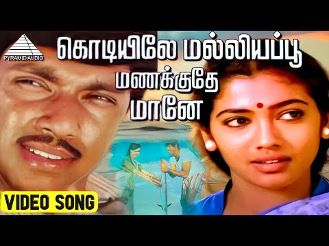 கொடியிலே மல்லியப்பூ மணக்குதே HD Video Song | கடலோர கவிதைகள் | சத்தியராஜ் | ரேக்கா | இளையராஜா