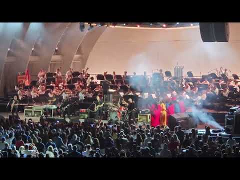 Foo Fighters Finally Make Their Hollywood Bowl Debut