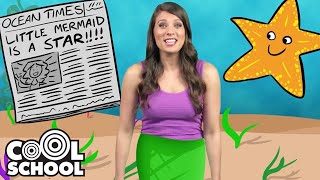 FULL STORY 🌊 The Little Mermaid Princess &#39;THE WORLD BEYOND THE WATER&#39; 📚 Ms. Booksy Bedtime Stories