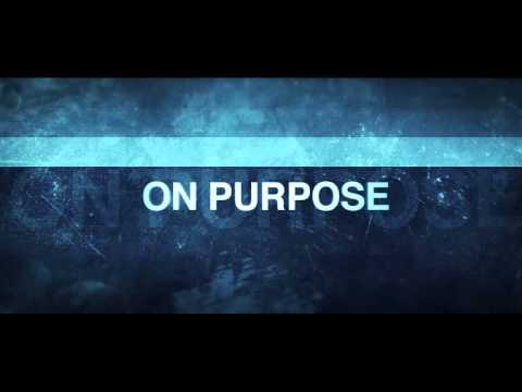 Dougie F Feat Pitbull - On Purpose