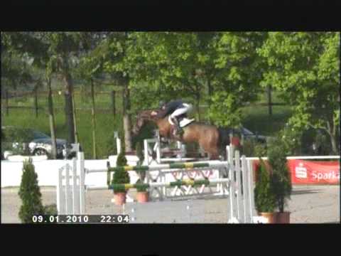 peter pan x concorde richelsdorf