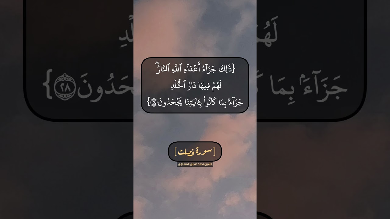 سورة فصلت الآية ٢٦ الى ٢٩ بصوت الشيخ محمد صديق المنشاوي