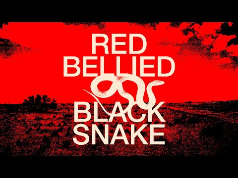 The Beefs - Red Bellied Black Snake (Official Video)
