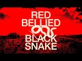 The Beefs Red Bellied Black Snake Official Video