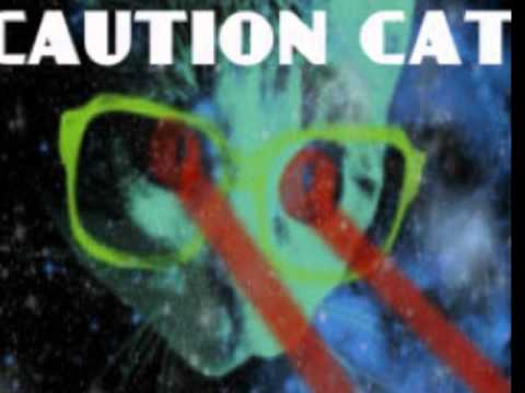 CAUTION CAT Once in a Lifetime TALKING HEADS Cover