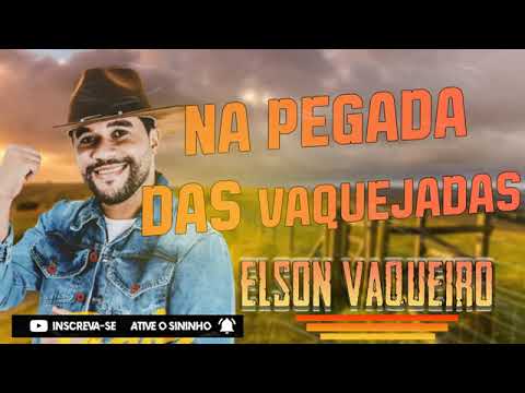 Elson Vaqueiro,Cd Atualizado 20 novas músicas 2022.