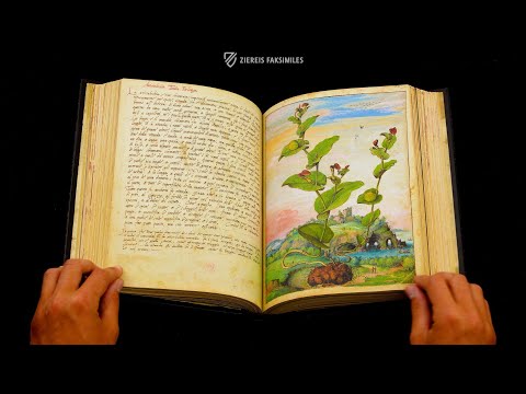 MATTIOLI'S DIOSCORIDES ILLUSTRATED BY CIBO - Browsing Facsimile Editions (4K / UHD)