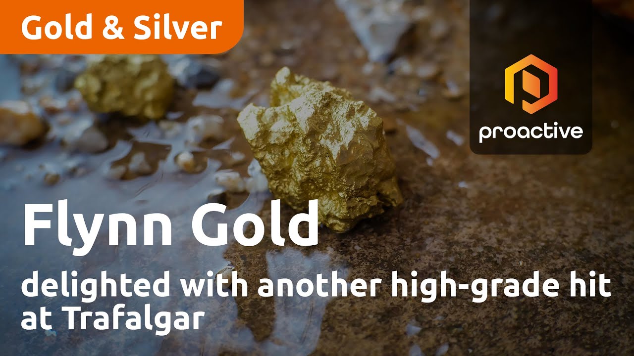  Flynn Gold delighted with another high-grade hit at Trafalgar
