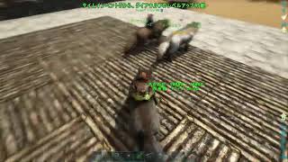 【Ark】#6 ダイヤウルフにのりたいです。