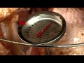 The Perfect Big Easy Turkey - YouTube