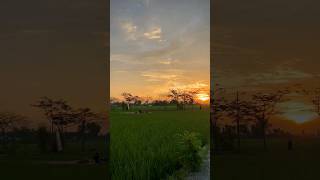 Download lagu Cinta Yang Sempurna | kangen band #kangenband #cintayangsempurna #katabijak #shorts mp3