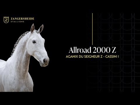 All Road 2000 Z