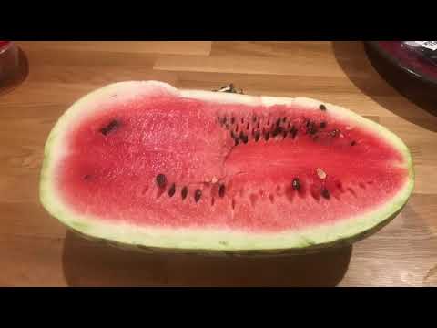 Spring, Sprang, Sprung