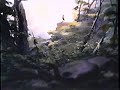 Bambi 1989 VHS Closing