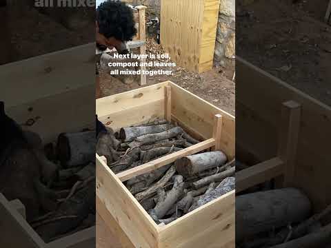 Filling raised bed! #shorts #garden