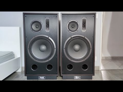 Magnat Transpuls 1500 garso kolonėlė video