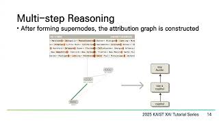 KAIST XAI Tutorial 2025 | On the Biology of a Large Language Model | Artyom Stitsyuk (SAIL, KAIST)