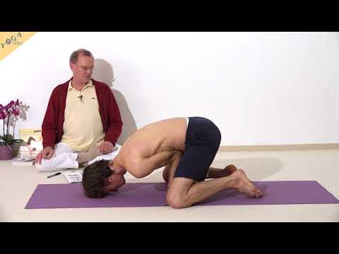 Pfauenstellung - Yoga Asana Lexikon
