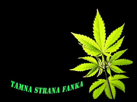 Bvana, Monogamija, Gidra - Jebeno Smo Kul