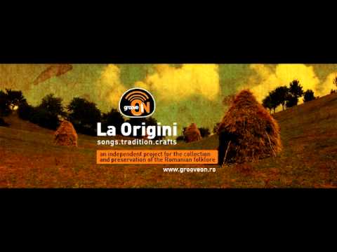 Cetiniță Cetioară - Cornelia Daisa (Cetea, jud. Alba, România)