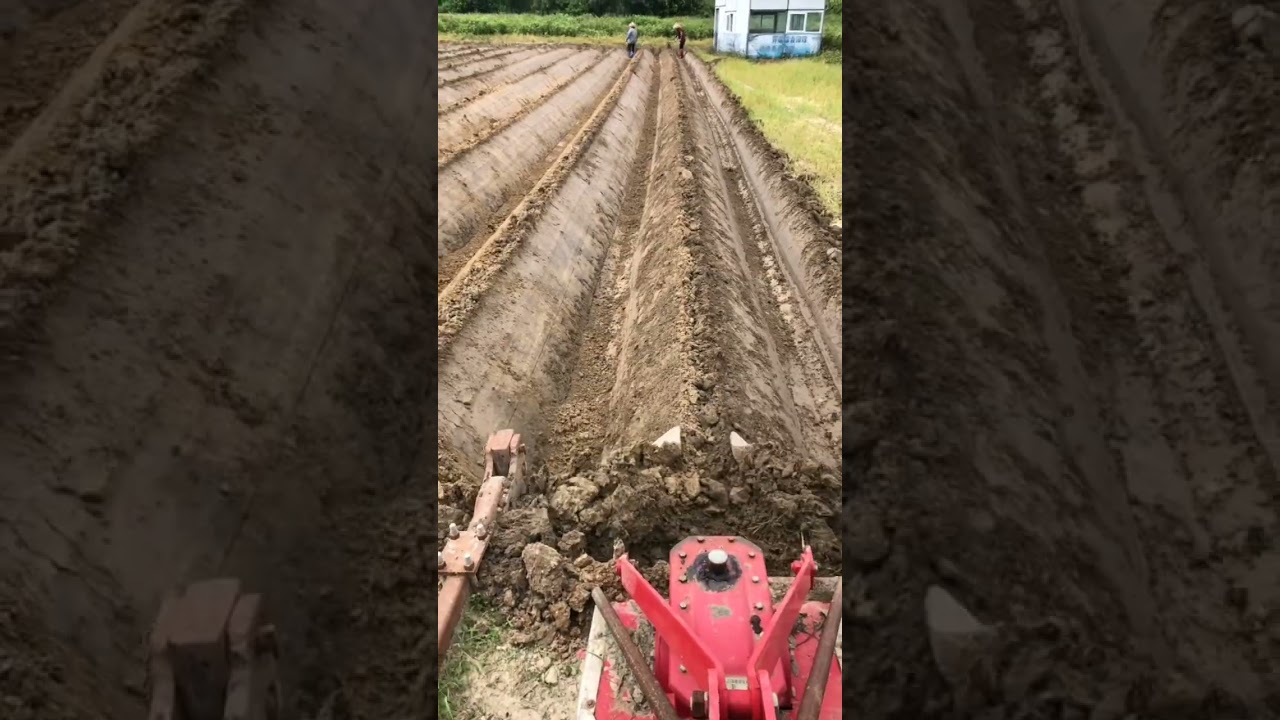 Powerful Ridge And Furrow 2 In 1  Plow #satisfying #short