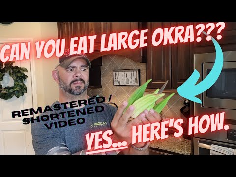 How To Use Large, Overgrown OKRA. It's a Simple, Easy Trick || DHBG
