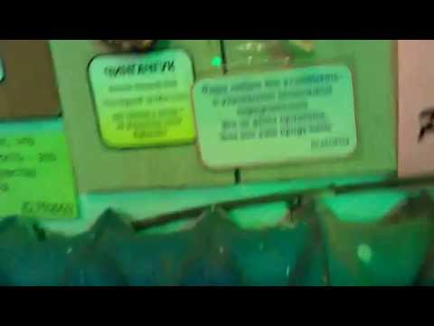 Музей Магии и суеверий, Ейск, экскурсия часть 2