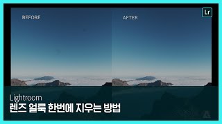 [라이트룸] 사진 여러 장에 있는 렌즈 얼룩 한번에 지우는 방법