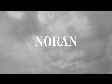 noran- day by day