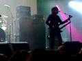 boris - flower sun rain