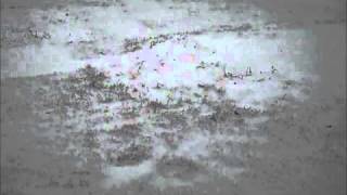 My Michigan snowy weather