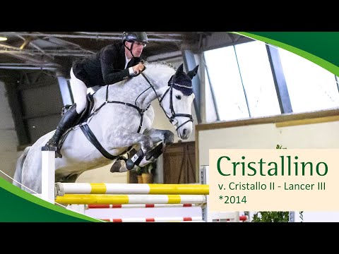 CRISTALLINO v.Cristallo II - Lancer III