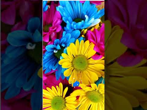 Wonderful flowers Nasrin dress #shorts# #dressshorts