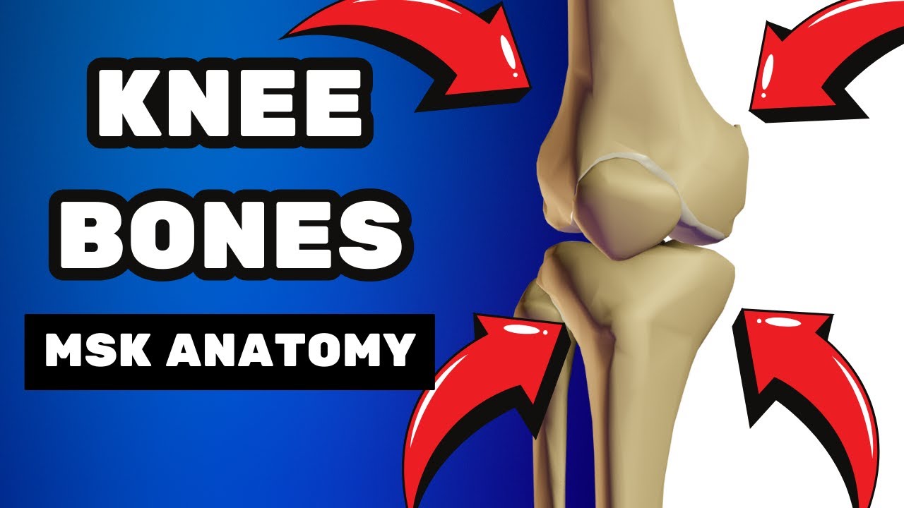 MSK Anatomy: Knee Bones  - What you NEED to know!
