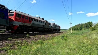 Пассажирский поезд под тепловозом 2М62У следует по участку Узловая - Тула МЖД, 08/06/2024