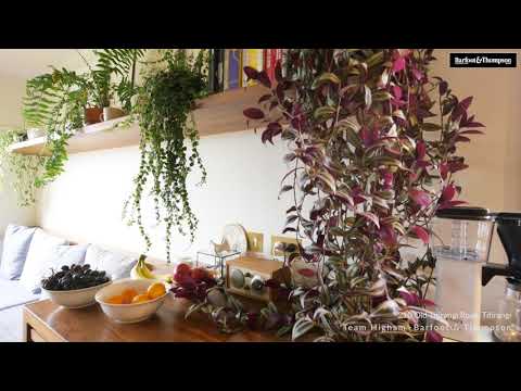 SOLD - 210 Old Titirangi Road, Titirangi - Sven Higham