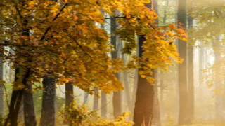 Arilena Ara Nentori  Bess Remix 20170718 162741 000