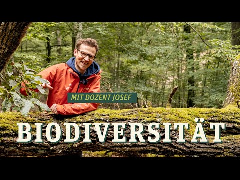 Biodiversity and species diversity are often lumped together - we clarify