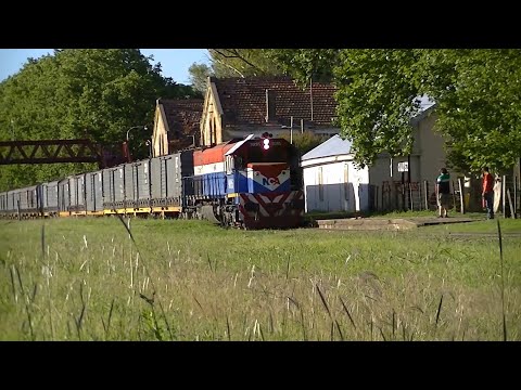 Tren de carga NCA con EMD GT22 9095 por estación Gálvez