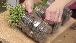 How to Plant an Indoor Hanging Herb Garden with Gina