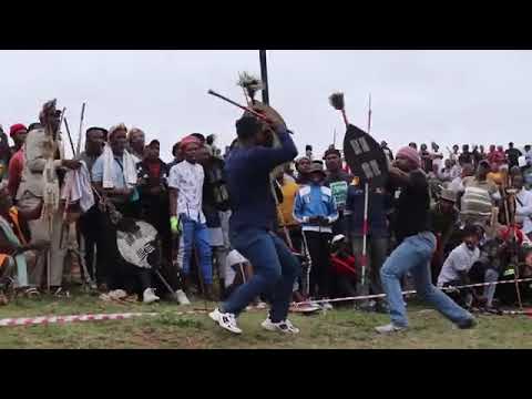 Bhejane vs Gulukudu ziyavika nazi insizwa