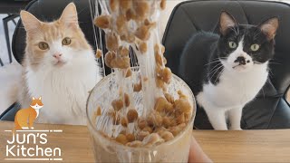 every cat owner ever "I would sit to eat, but I don't want to disturb the kitties"（00:12:10 - 00:13:51） - Japanese fermented beans (for brave eaters) Homemade Natto