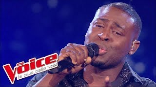 Jean-Jacques Goldman – Puisque tu pars | Wesley | The Voice France 2014 | Quarts de finale