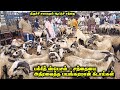 பக்ரீத் ஸ்பெஷல் திருச்சி சமயபுரம் ஆட