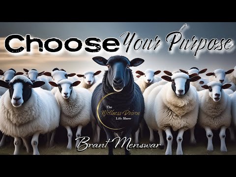 Unleash Your Inner Black Sheep & Choose Your Purpose - YouTube