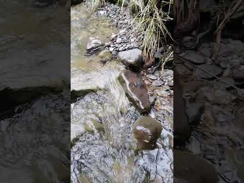 cascada de guacamullo en Cumbal Nariño sur de Colombia. 🪼🌊🌊🌊