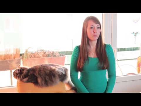 Felinoterapie aneb léčba kočkou (nejen) pro seniory