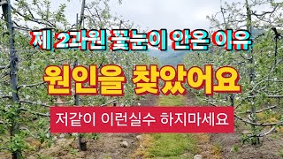 제2과원 꽃눈이 안 온 이유를 찾았어요 저같이 이런실수 하지마세요